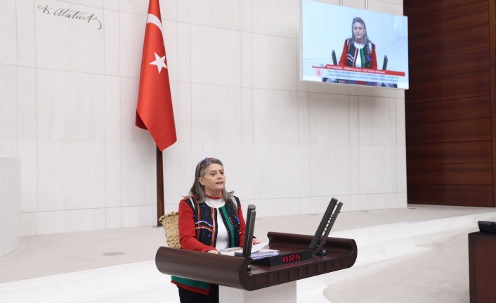 CHP Trabzon Milletvekili Sibel Suiçmez Meclis Kürsüsünden iktidara yüklendi; “Haberiniz var mı demir kapı, kör pencere! MEMLEKETİMİZE açlık ve yoksulluk gelmiş, sizin bundan haberiniz var mı?"