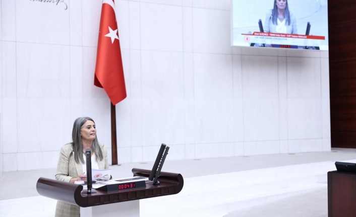 CHP'NİN TBMM GENEL KURULU'NDA 'HAYVAN HAKLARININ KORUNMASINDA ORTAYA ÇIKAN SORUNLARIN TÜM YÖNLERİYLE ARAŞTIRILMASI' İÇİN VERDİĞİ GRUP ÖNERİSİ REDDEDİLDİ.