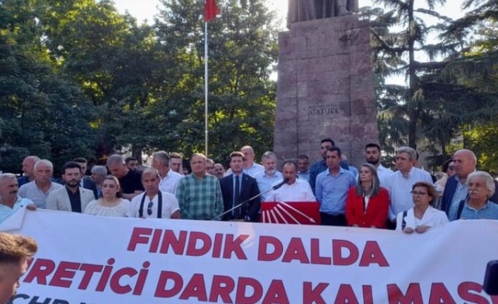 Fındık dalda,üretici darda kalmasın