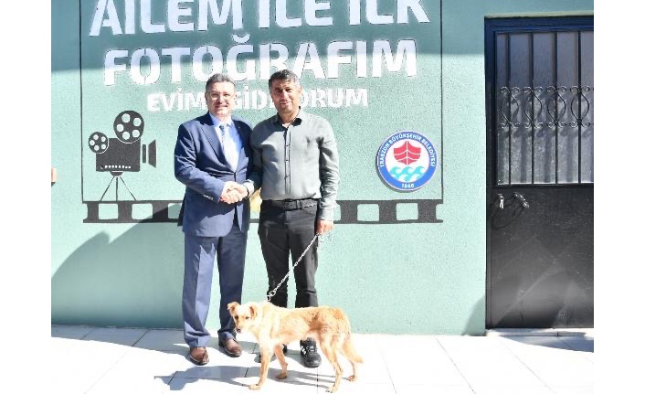 BÜYÜKŞEHİR BELEDİYESİ 593 KÖPEĞİ SAHİPLENDİRDİ