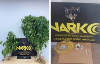 Narkotik Sokak Operasyonları