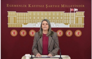 CHP Trabzon Milletvekili Sibel Suiçmez: Maçka'nın...