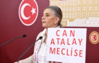 CHP TRABZON MİLLETVEKİLİ SİBEL SUİÇMEZ: MECLİS...